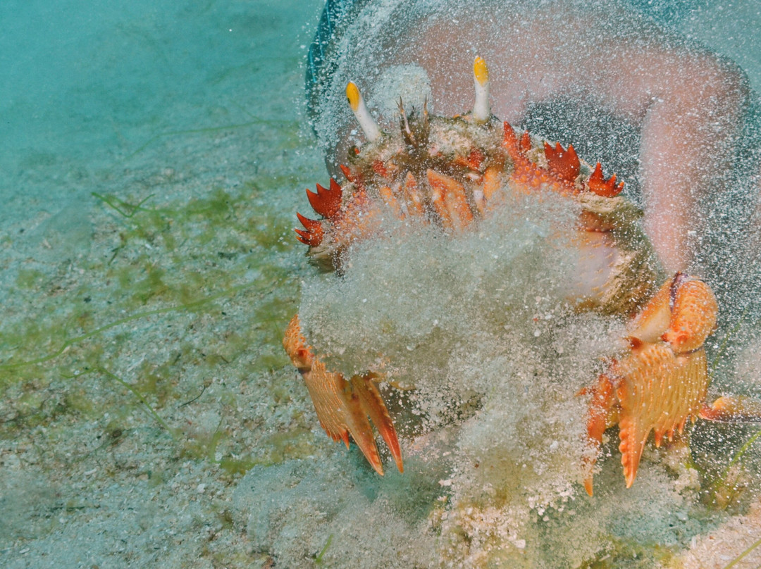 Maite Marine Sanctuary-圣胡安必去景点
