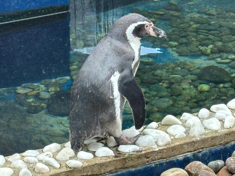 Sealife Adventure-滨海绍森德必去景点