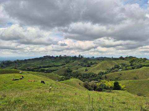 Steel Horse Colombia-Filandia必去景点