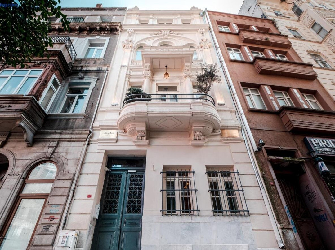Homie Suites - Turna Residences in Cihangir