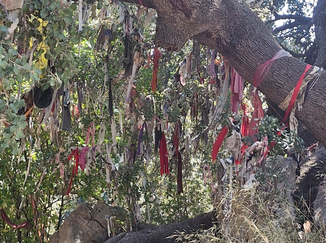 Volkan's Adventures-达利安必去景点