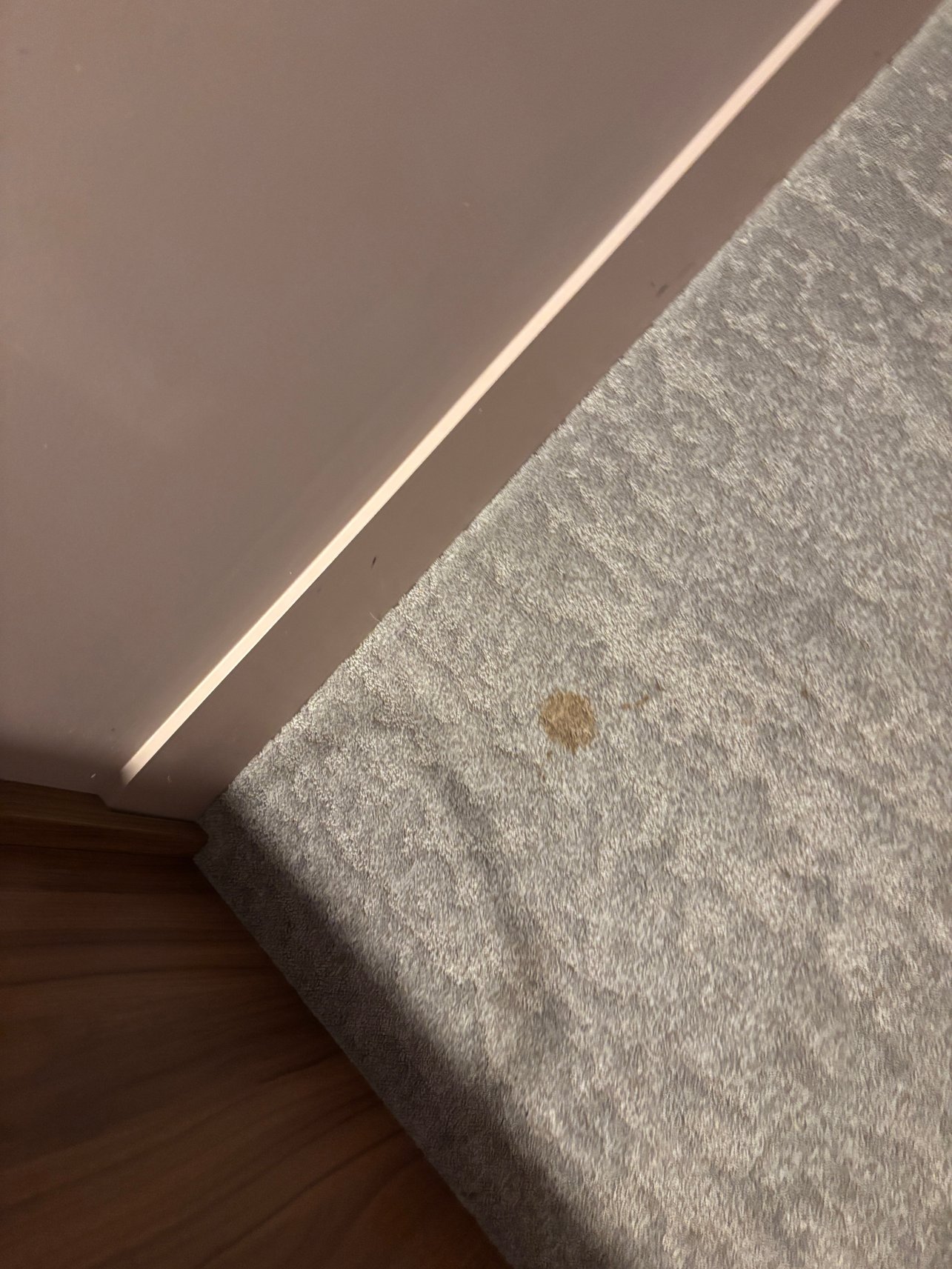 贝斯特韦斯特伊甸园温泉酒店-官方