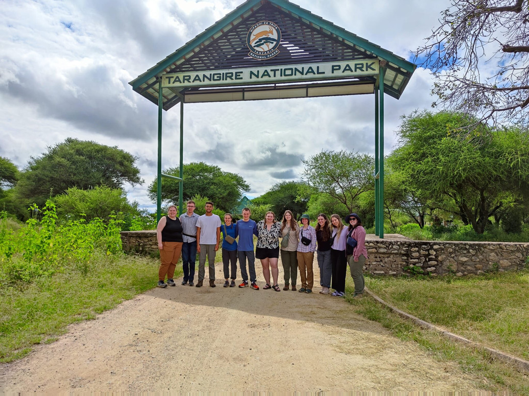 Tarangire National Park-塔兰吉雷国家公园必去景点