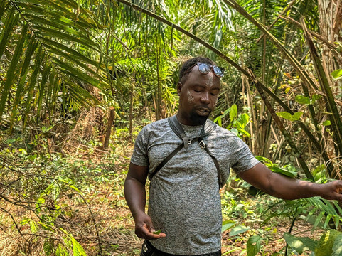 Foret de Missahohe-Kpalime必去景点