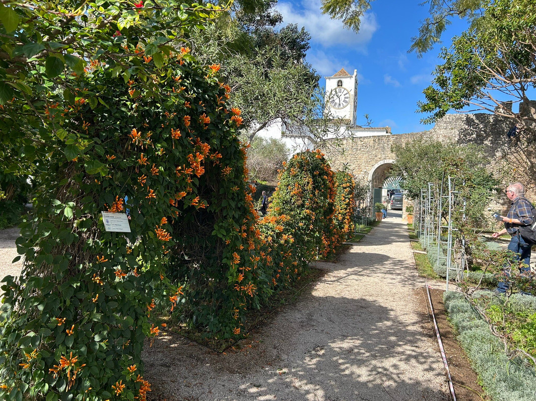 Castelo de Tavira-塔维拉必去景点