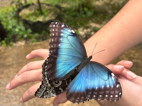 Allan Adventures-La Cruz必去景点