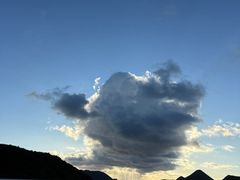 Ocean Dreams Water Taxi-Red Hook必去景点