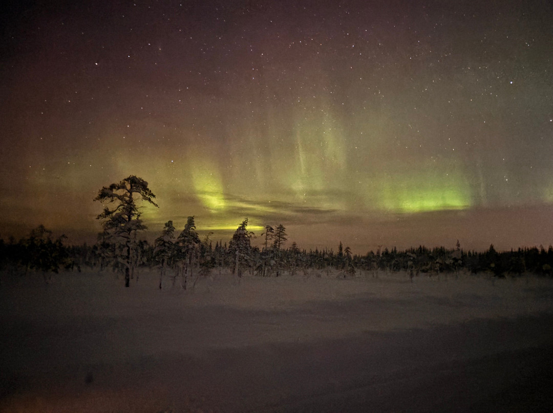 Arktictopia-罗瓦涅米必去景点