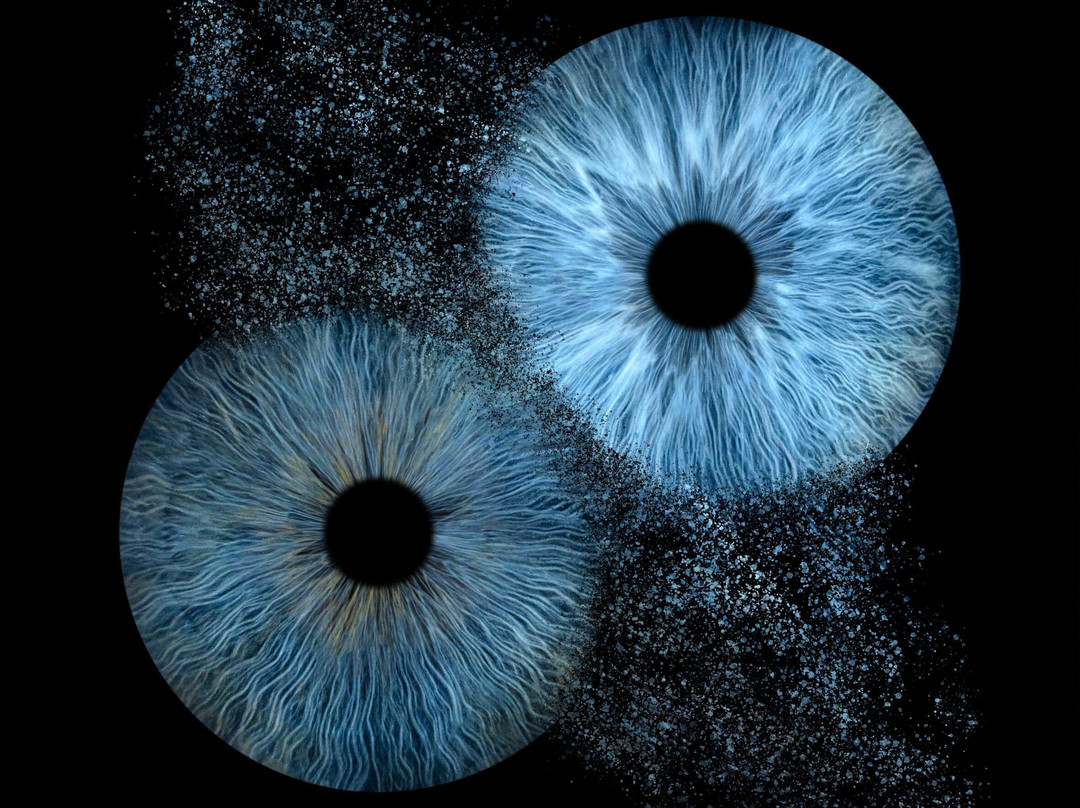 Iris Galerie Mall of the Netherlands-Leidschendam必去景点