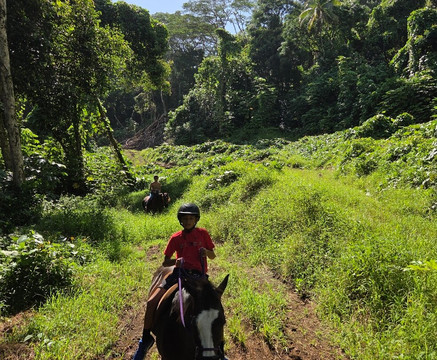 Cadichon Vallee-Uturoa必去景点
