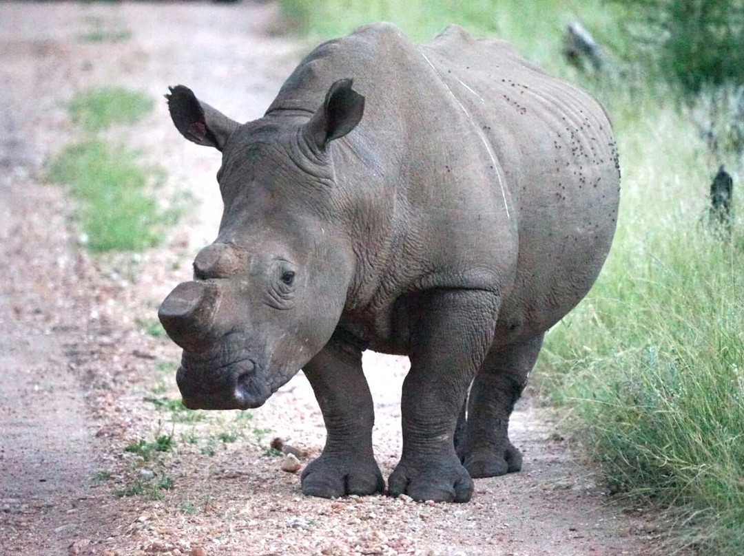 卡萨特甘姆山林小屋主图