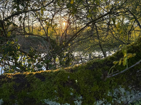 Le Boat - Castelnaudary-Castelnaudary必去景点