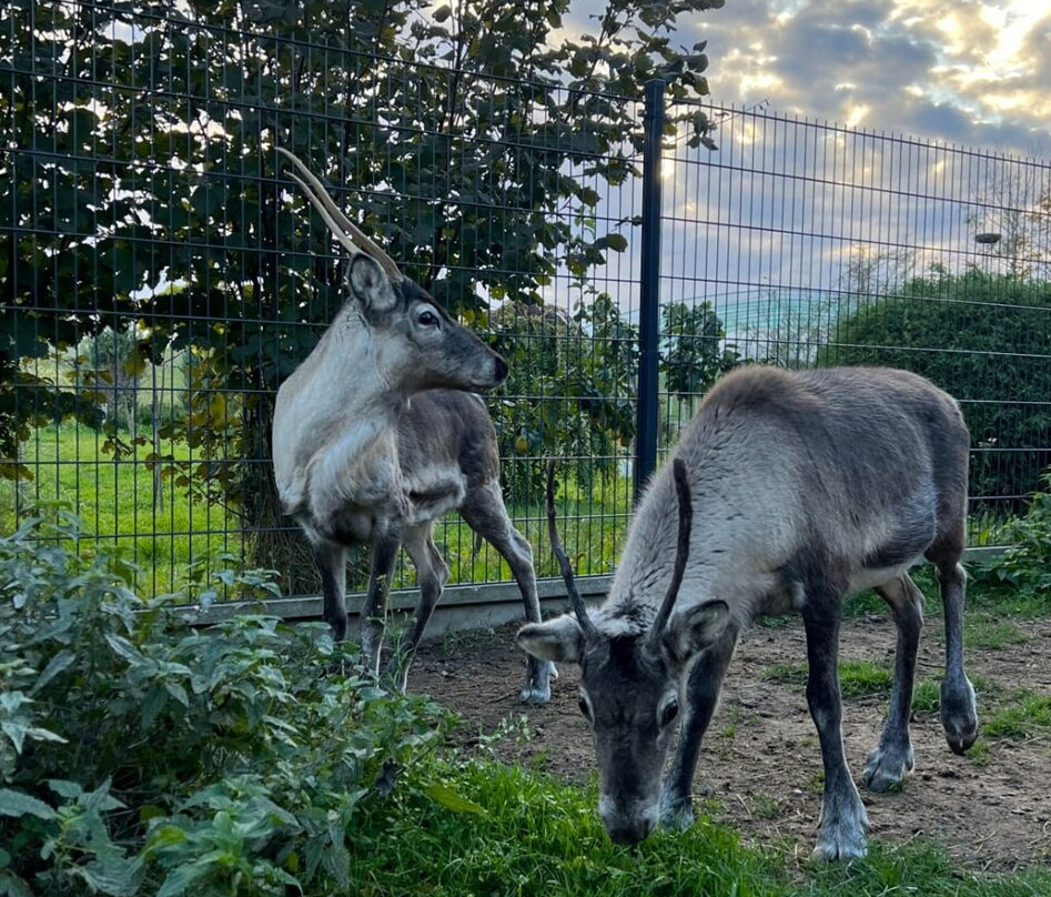 Podlaska Toskania-Suwalki必去景点
