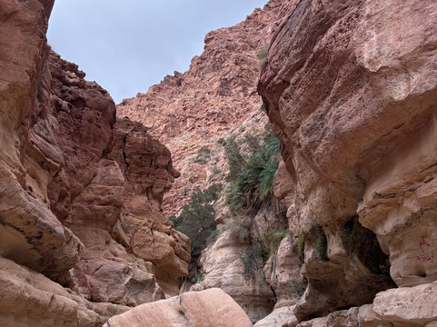 Jordan Trail Adventures-佩特拉必去景点