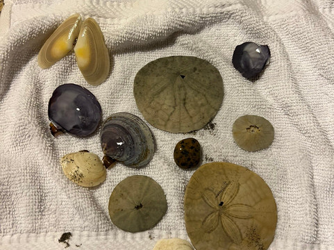 Oyhut Wildlife Recreation Area-洋滨市必去景点