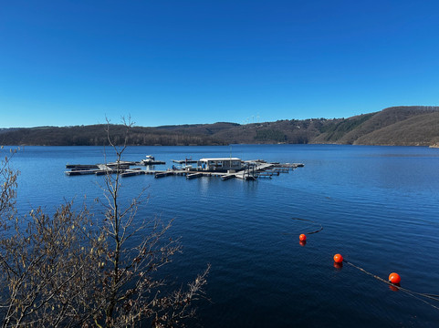 希尔霍夫酒店主图