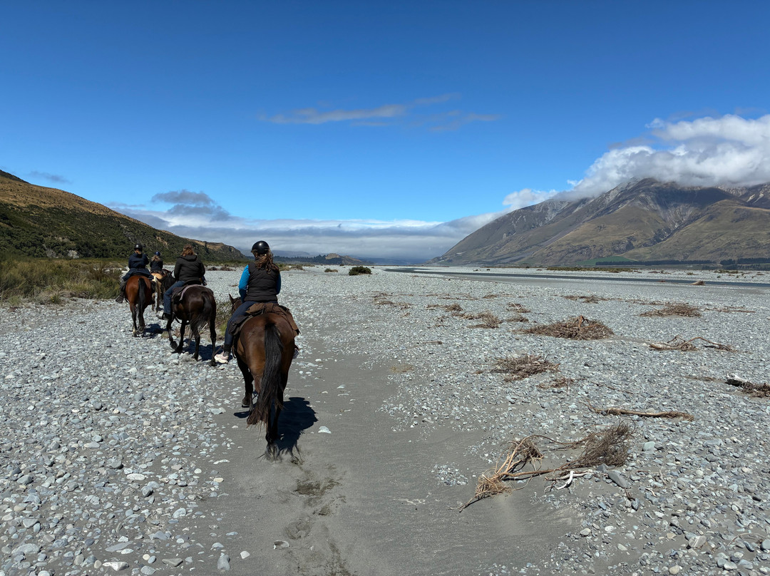 High Country Horse Adventures Lake Coleridge-基督城必去景点
