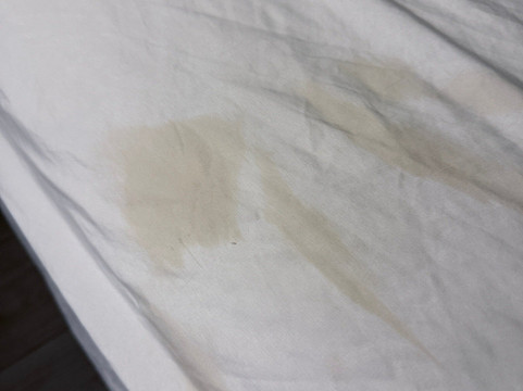 伊克诺旅馆蒙蒂塞洛主图