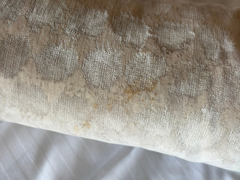 拉姆齐公园酒店主图