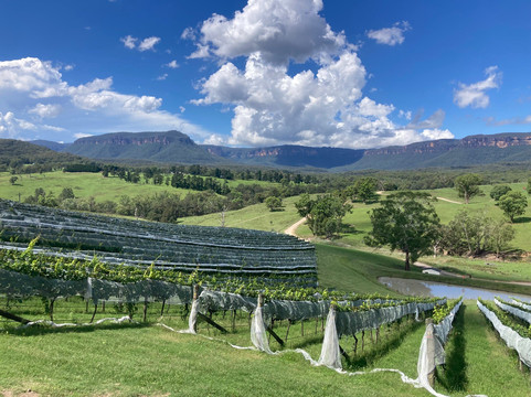 Dryridge Estate-Megalong Valley必去景点