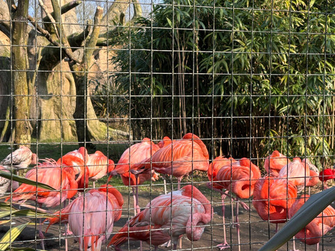 Landgoed Hoenderdaell-Anna Paulowna必去景点