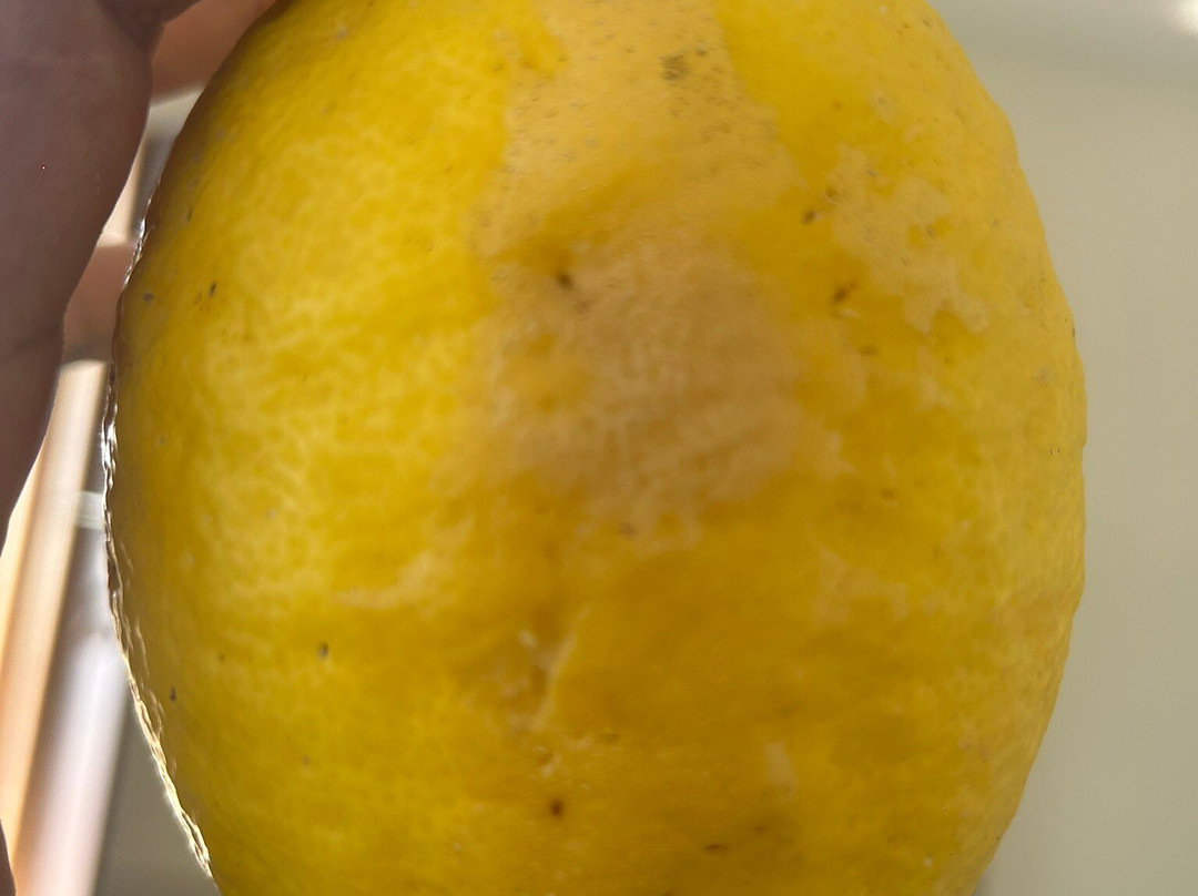 8fold-派恩克雷斯特 由 LaRiSa 提供, 比姆塔尔主图