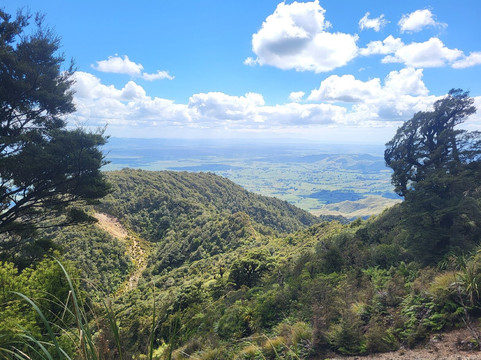 Mount Te Aroha- 蒂阿罗哈必去景点