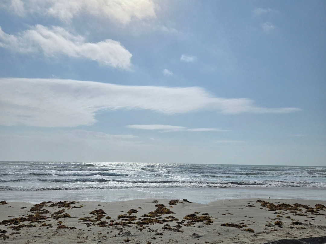 San Jose Island-阿兰瑟斯港必去景点