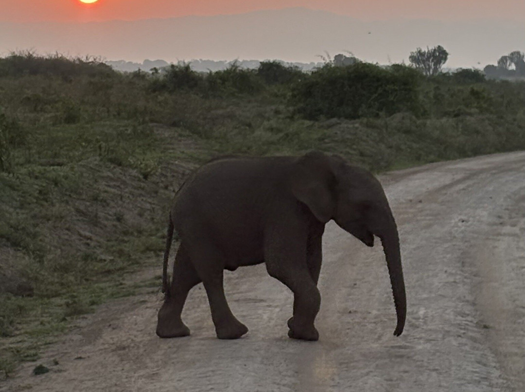 Exclusive Uganda Safaris-坎帕拉必去景点