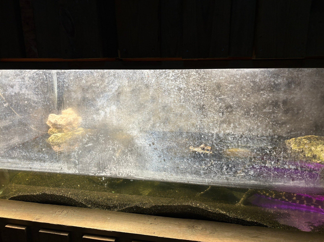 Pangea Park-Bjaeverskov必去景点