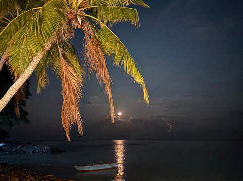 Into the Blue Lodge主图