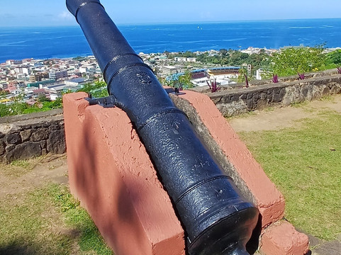 Dominica Botanic Gardens-罗索必去景点