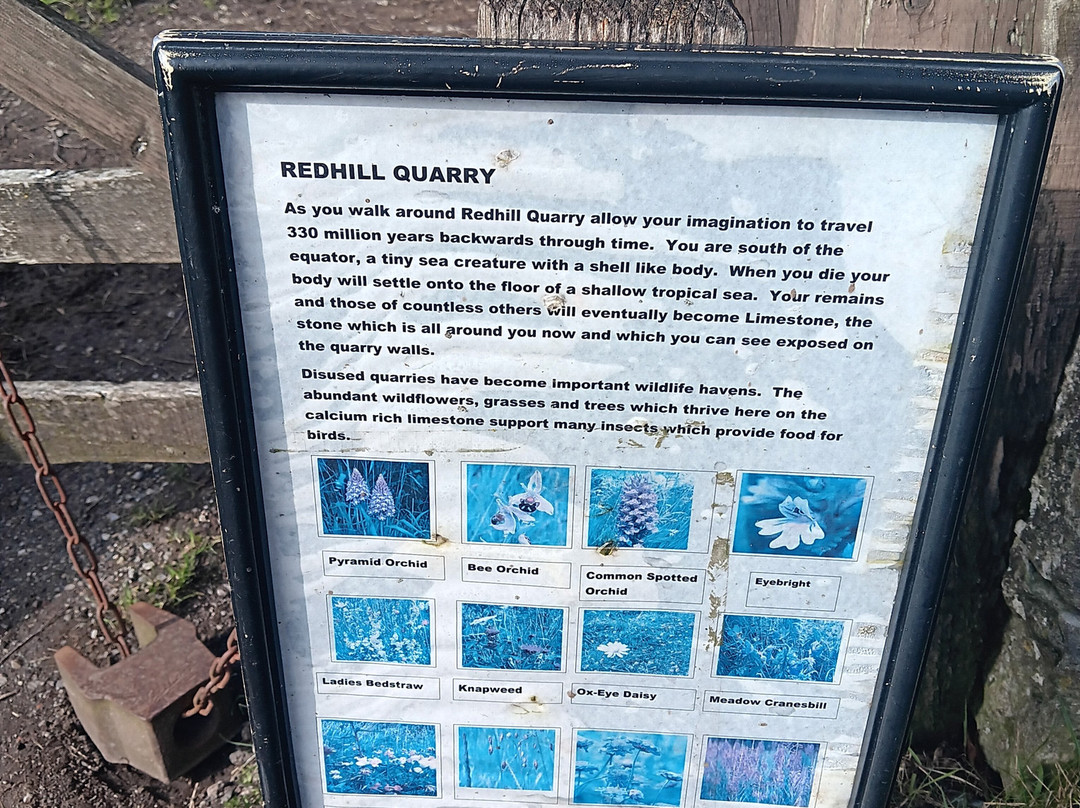 Redhill quarry and picnic area-Middleton必去景点