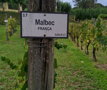 Miolo Wine Group-本图贡萨尔维斯必去景点