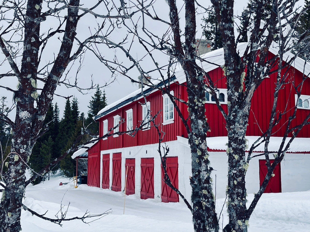 Gala Hogfjellshotel主图