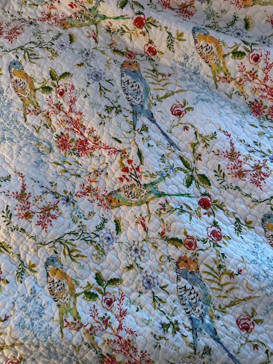Jackson House Bed and Breakfast-官方