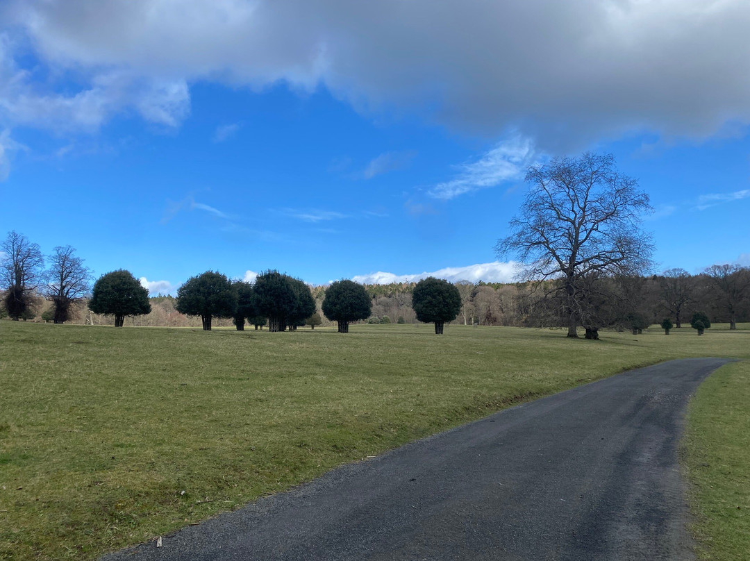 Hulne Park-阿尼克必去景点