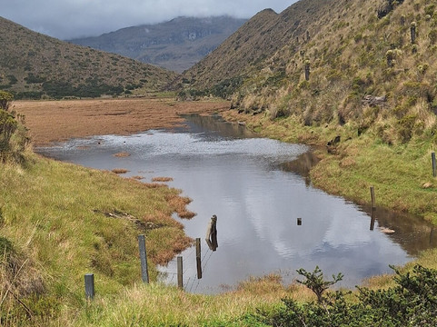 Montanas Colombianas-佩雷拉必去景点