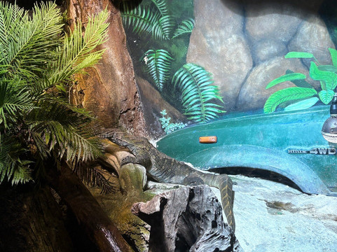 Klimahaus Bremerhaven-不来梅港必去景点