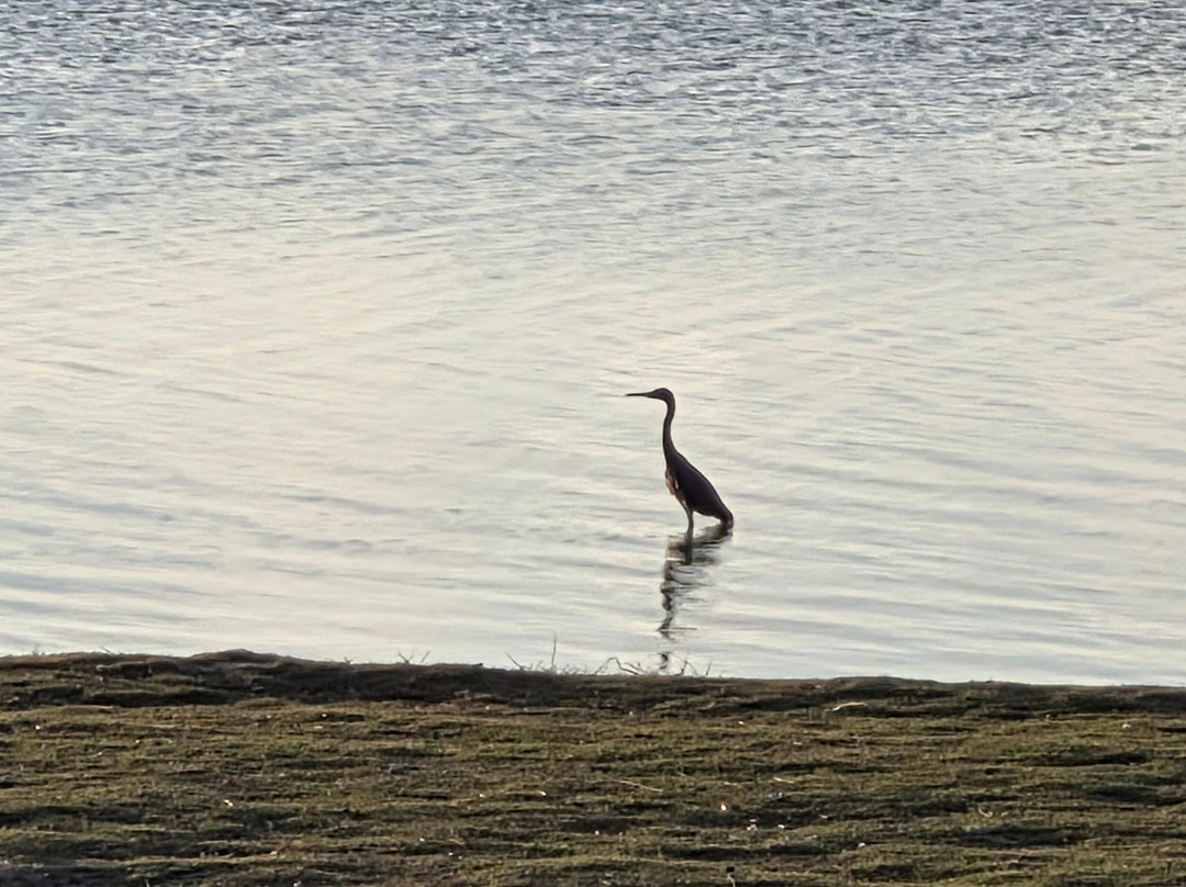 Ikarus Kiteboard Mexico-女人海滩必去景点