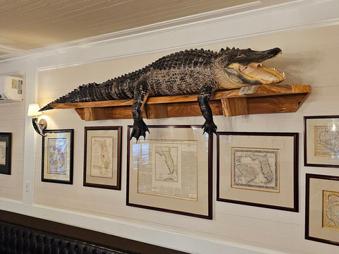 吉布森酒店主图