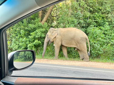 Best of Lanka-科伦坡必去景点