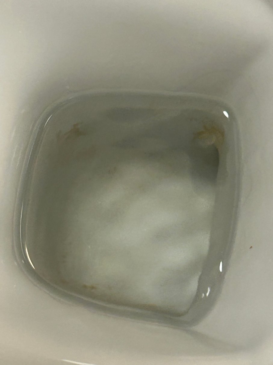 曼斯菲尔德松林旅馆及餐厅-浴室