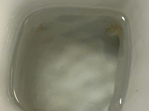 曼斯菲尔德松林旅馆及餐厅主图