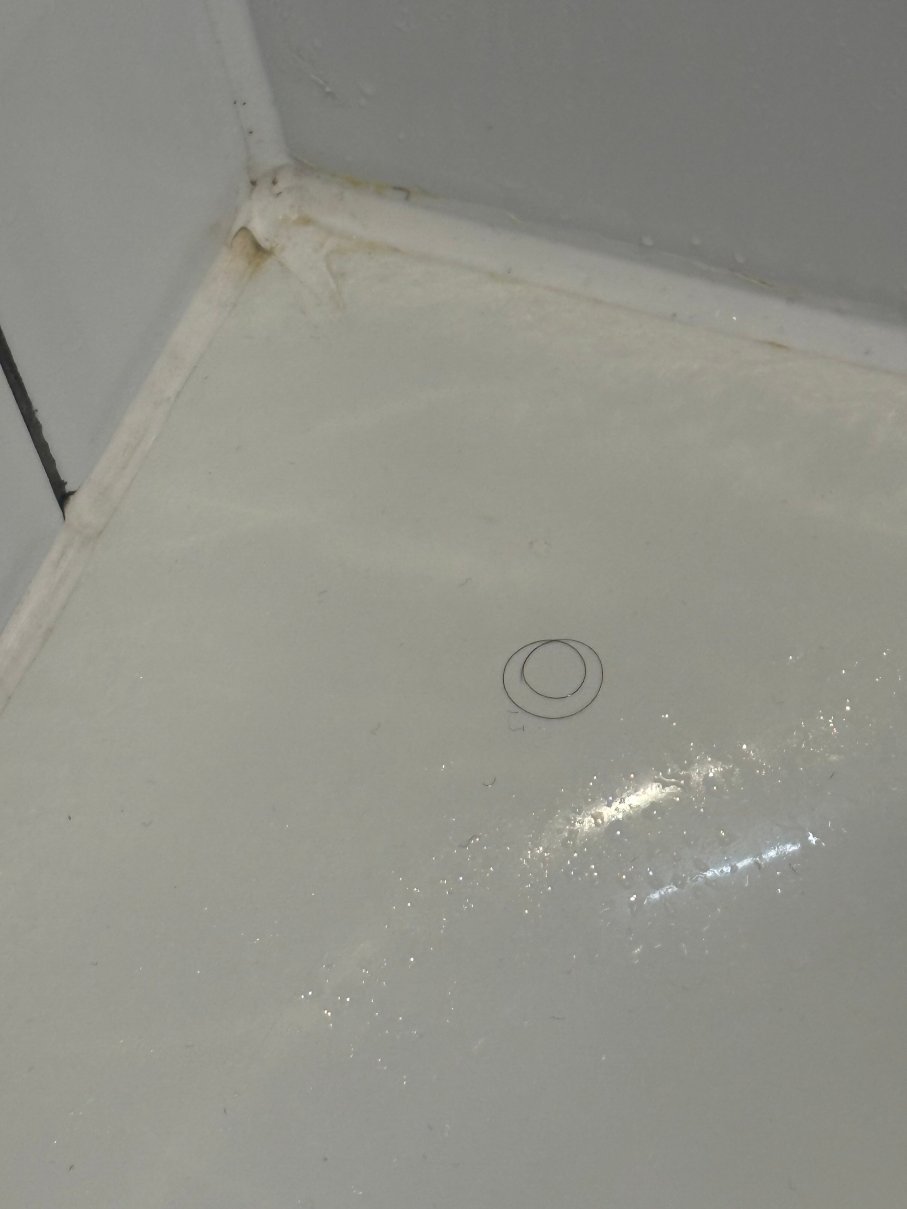 黑天鹅 - 酒店集团收藏-官方