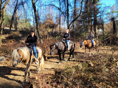 Mountain Creek Riding Stable-Cresco必去景点