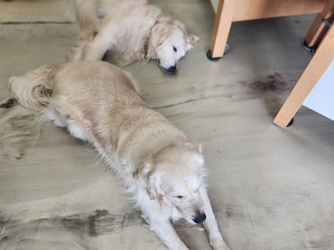 Horizon Divers-拉哥岛必去景点