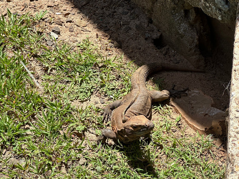 Premier Coiba Tours-Santa Catalina必去景点
