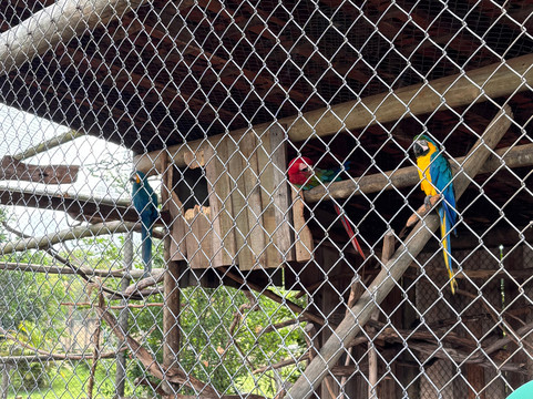 Bio Park-博尼图必去景点