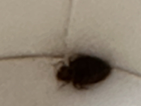 杰斐逊城凯艺套房酒店主图